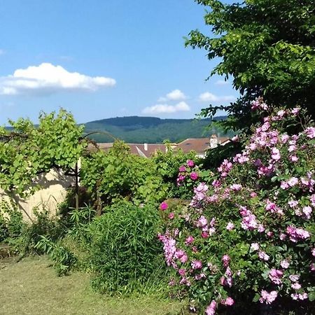 クリュニー Jardin De Cureヴィラ エクステリア 写真